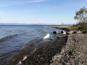 琵琶湖バス釣り_安曇川（北流）