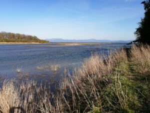 琵琶湖バス釣り_安曇川（南流）