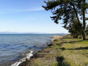 琵琶湖バス釣り_安曇川（北流）
