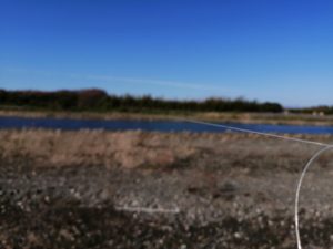 琵琶湖バス釣り_安曇川（南流）