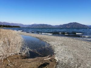 琵琶湖バス釣りポイント_石田川