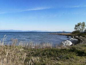 琵琶湖バス釣り_安曇川（北流）