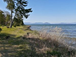 琵琶湖バス釣り_安曇川（北流）
