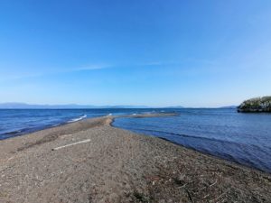 琵琶湖バス釣り_安曇川（北流）