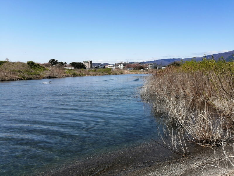 琵琶湖バス釣りポイント_石田川