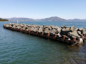 琵琶湖バス釣りポイント_浜分港