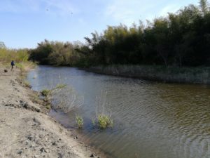 琵琶湖バス釣り_安曇川（南流）