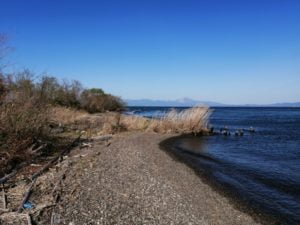 安曇川グランド前