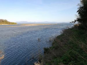 琵琶湖バス釣り_安曇川（南流）