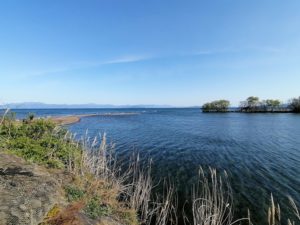 琵琶湖バス釣り_安曇川（北流）