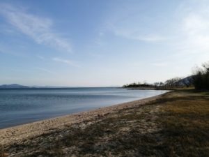 琵琶湖バス釣りポイント_青井川_鴨川