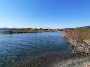 琵琶湖バス釣りポイント_石田川