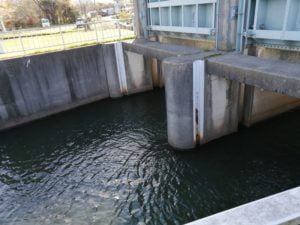 琵琶湖バス釣りポイント_青井川_鴨川