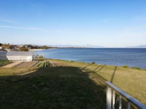 琵琶湖バス釣りポイント_青井川_鴨川