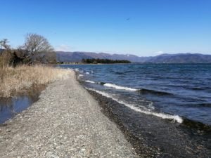 琵琶湖バス釣りポイント_石田川