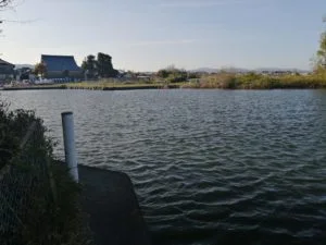 琵琶湖バス釣_大溝漁港