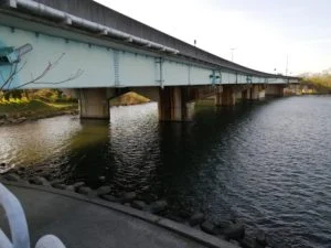 琵琶湖バス釣_大溝漁港