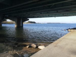 琵琶湖バス釣_大溝漁港