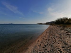 琵琶湖バス釣りポイント_青井川_鴨川