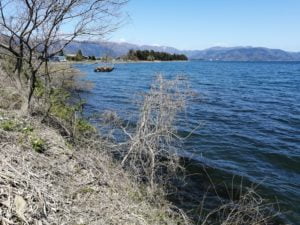 琵琶湖バス釣りポイント_浜分港
