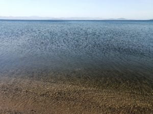 琵琶湖バス釣りポイント_青井川_鴨川