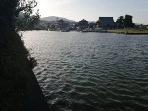 琵琶湖バス釣_大溝漁港