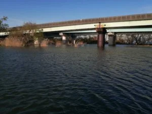 琵琶湖バス釣_大溝漁港