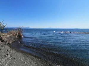 琵琶湖バス釣りポイント_石田川