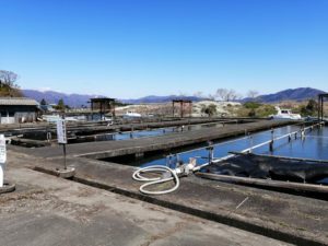 琵琶湖バス釣りポイント_浜分港