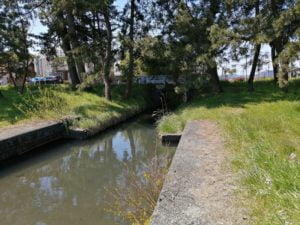 今津百瀬川園地