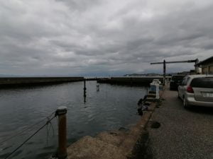 琵琶湖バス釣り_芦川