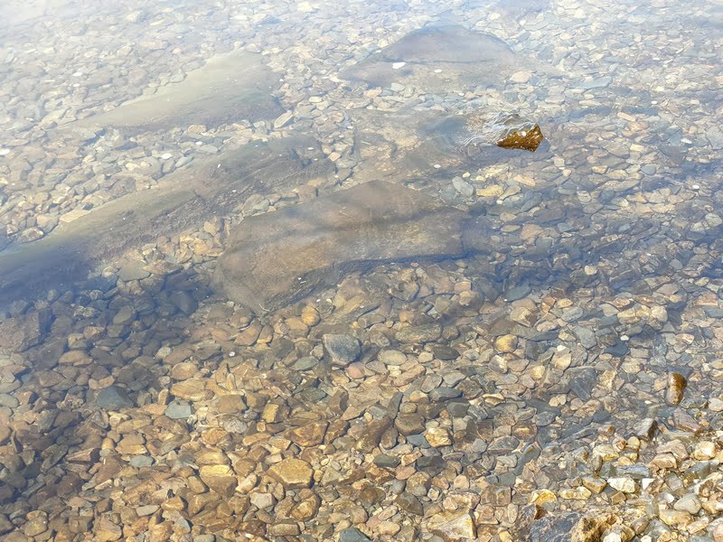 西野放水路ポイント