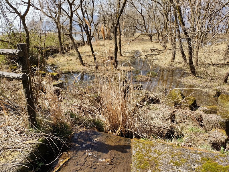 西野放水路ポイント