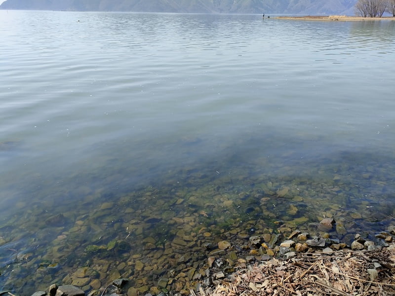 西野放水路ポイント