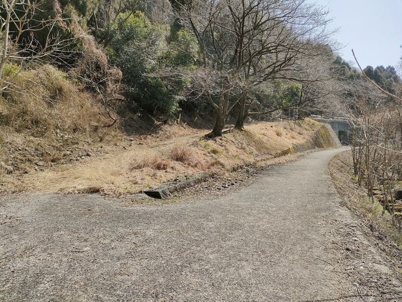 西野放水路ポイント