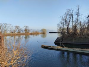 琵琶湖バス釣りポイント姉川漁港