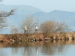 琵琶湖バス釣りポイント姉川漁港