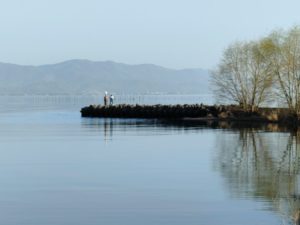 琵琶湖バス釣りポイント姉川漁港