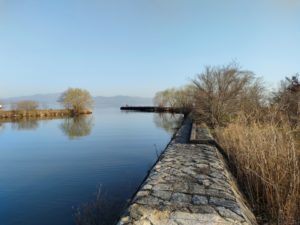 琵琶湖バス釣りポイント姉川漁港