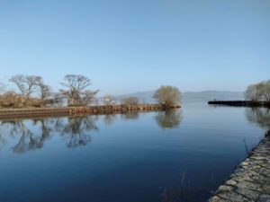 琵琶湖バス釣りポイント姉川漁港
